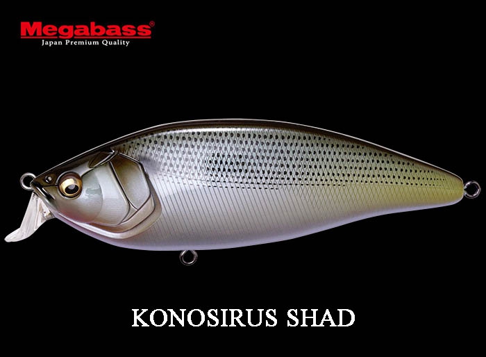 MEGABASS KONOSIRUS SHAD PM Gizzard Shadimage