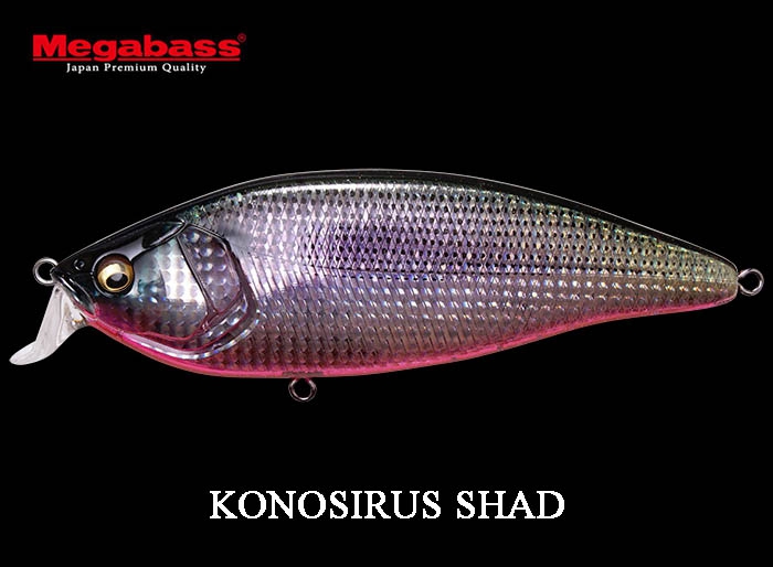 MEGABASS KONOSIRUS SHAD LENS Gizzard Shad RBimage
