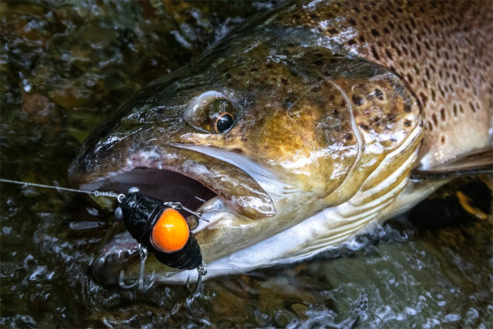 一番の PLAT/duo x pesca de ccx4708/lure-Aparejo shifukuzemi 3 d サプライ・アクセサリ・グッズ