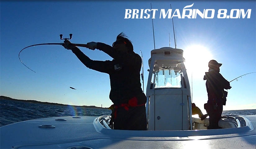 ロッド BRIST MARINO8.0M BRIST MARINO8.0M（ブリストマリノ）| シーバス、サーフから本流