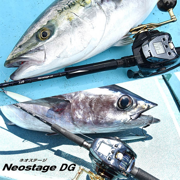 DAIWA NEOSTAGE DG J63B-2_Image4
