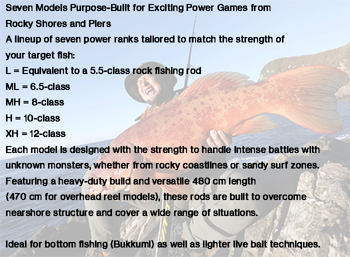DAIWA BATTLE GAME BKG T MH-480 (FREE SHIPPING)_Image4