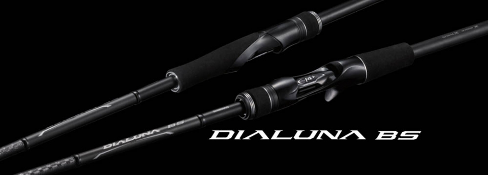 Plat 21 Dialuna Bs S73m Free Shipping Rod Fishing Tackle Store En