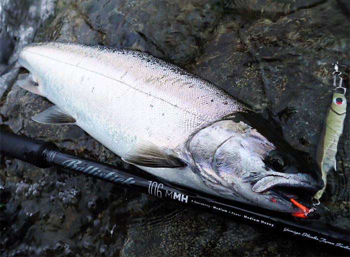 Yamaga Blanks Ballistick 106M-MH_Image4