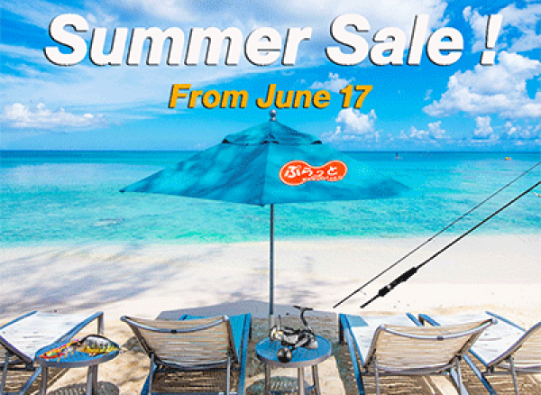 2025 Summer Sale !