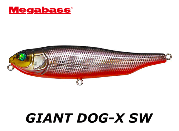 MEGABASS GIANT DOG-X SW Restock !
