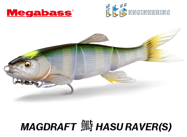 MEGABASS MAGDRAFT HASU RAVER(S) Just Arrived!