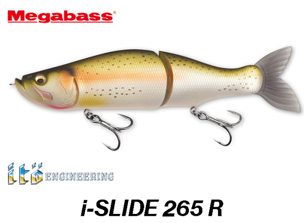 MEGABASS i-SLIDE 265 R New Arrival!