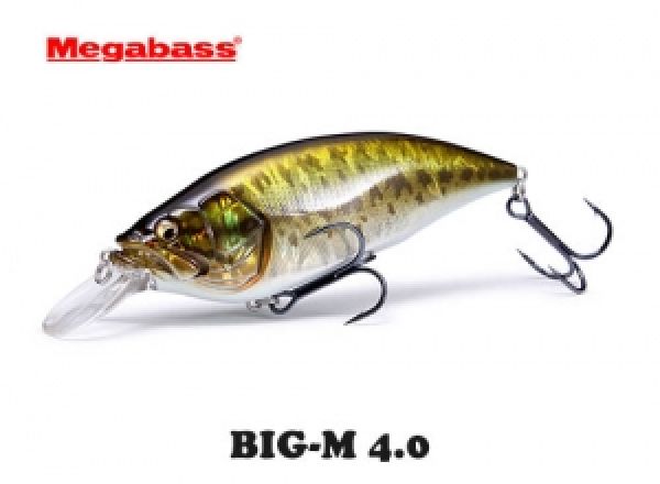 MEGABASS BIG M-4.0 Systematic Monster Cranking Restock !