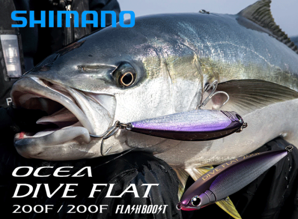 2025 SHIMANO OCEA DIVE FLAT 200F New Arrival!