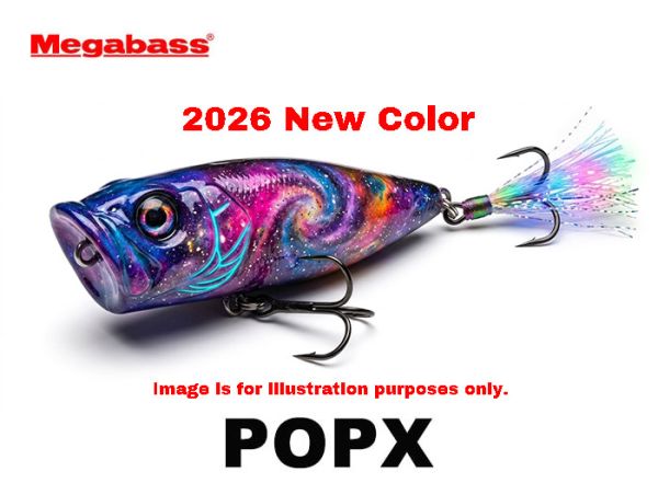 PLAT/shimano twinpower c3000/reel-Fishing Tackle Store-en