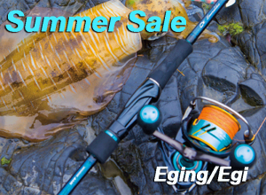 Summer Sale/Egi Squid game