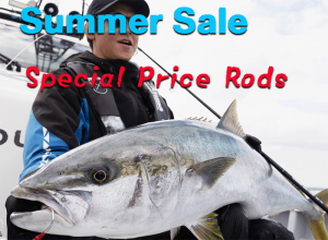 Summer Sale Zenith Special Price Rods