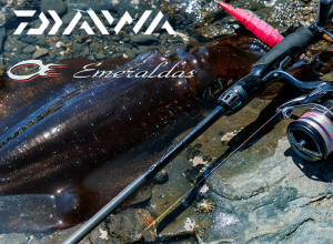 2025 DAIWA EMERALDAS AIR IL(INTERLINE)