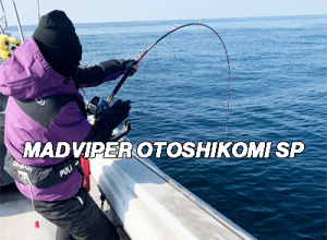 2025 DAIWA MADVIPER OTOSHIKOMI SP