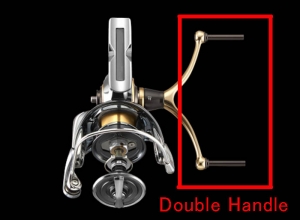 EXIST semi order/DOUBLE HANDLE