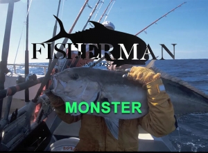 MONSTER Series