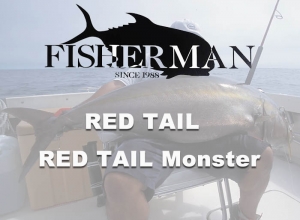 RED TAIL Series