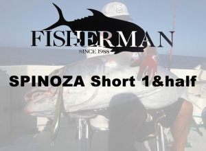 SPINOZA Short Series