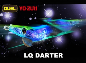 LQ DARTER
