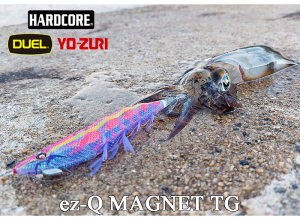 2025 ez-Q MAGNET TG