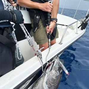 LANDING GAFF HOOK and POLE