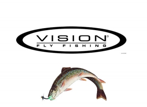 Vision