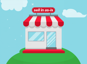 sell in as-is