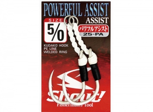 Shout POWERFULL ASSIST