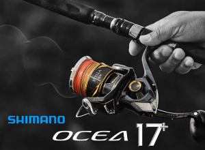 Ocea 17+ PE