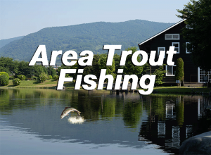 Area Trout Fishing