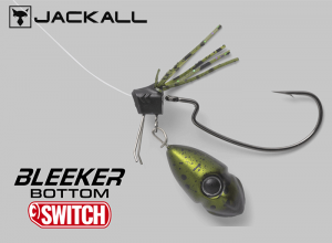 Bleeker Bottom Switch