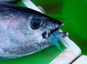EBING Plastic Worm