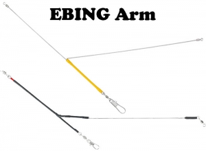 EBING Arm