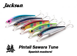 Pin Tail Sawara Tune