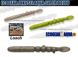 AQUA SUPER DOJOU(Loach)