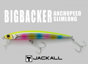 BIGBACKER ANCHOPEED 120SL