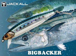 BIGBACKER ANCHOPEED 103