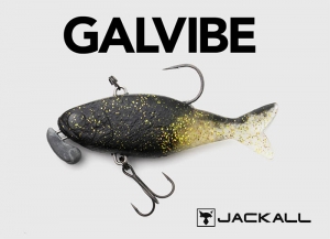 GALVIBE