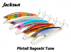 Pintail Sagoshi Tune
