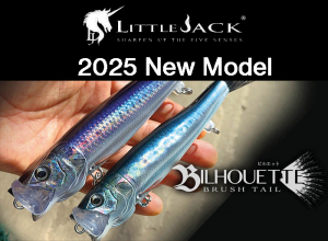 2025 BILHOUETTE