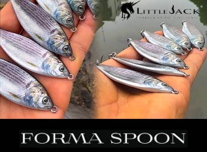 Forma Spoon