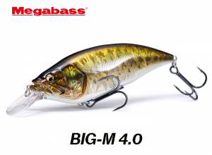 BIG M 4.0 EXTREME CRANK