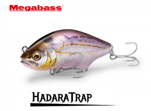 HADARA TRAP