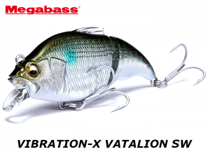 VIBRATION X VATALION SW