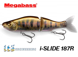 i SLIDE 187R