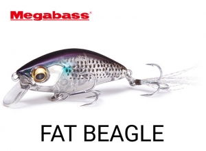 FAT BEAGLE