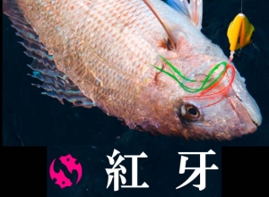 DAIWA