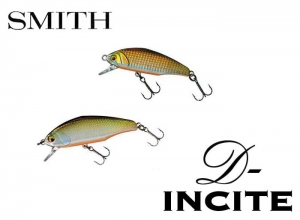 D INCITE