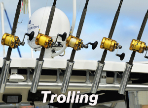 Trolling